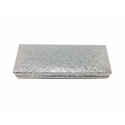 PEN CASE BIG SILVER                                                                                                               